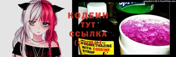 шишки Бородино