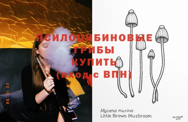 шишки Бородино