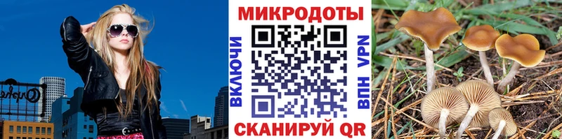 Галлюциногенные грибы прущие грибы  Лысково 